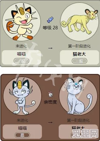 2025热门回顾：精灵宝可梦let's go角金鱼全招式详解与最新资料大全