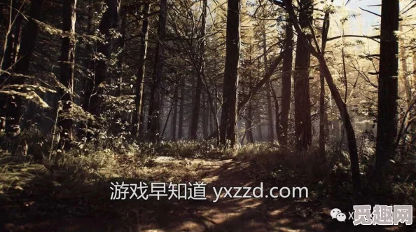 2025布莱尔女巫图文全攻略，详尽解谜步骤 线索剖析 剧情流程游记