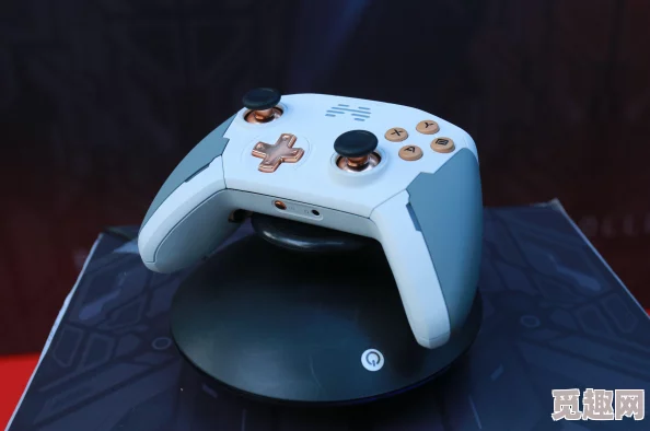2025年热门推荐：微软飞行模拟x steam版全面支持手柄控制，沉浸式游戏体验再升级