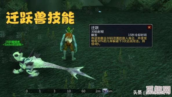 2025年魔兽世界plus猎人高效攻略：假死收宝宝与智能放陷阱一键宏