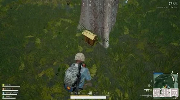2025年新品发布：pubg亚马逊联名限量版战术手套，电竞潮流新宠