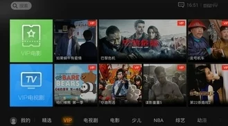 96533电视影片免费大全：丰富多样的影视资源，满足你的观影需求与期待