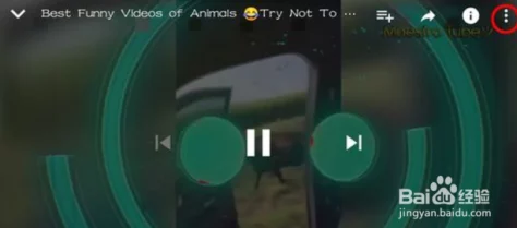 fuqer100%hdtube：深入了解高质量高清视频流媒体平台的特点与用户体验