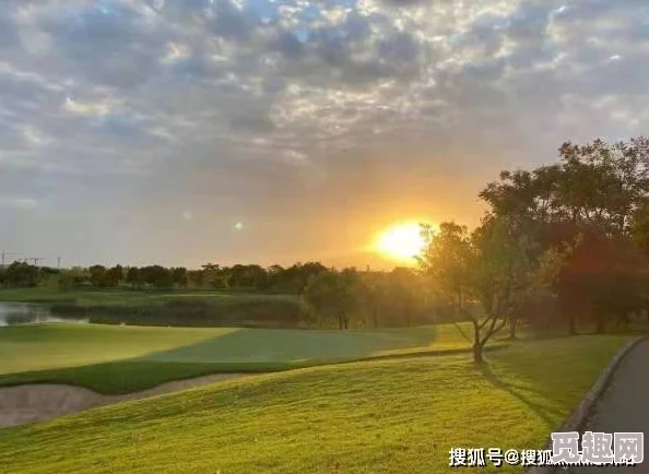 震惊！令人意想不到的事件发生在羞羞sss，背后隐藏的真相让所有人都大跌眼镜，真相大白究竟是谁？