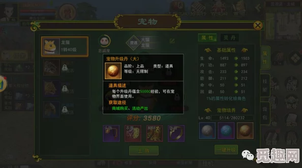 探讨热血江湖中哪个角色属性外观设计更为吸引人眼球