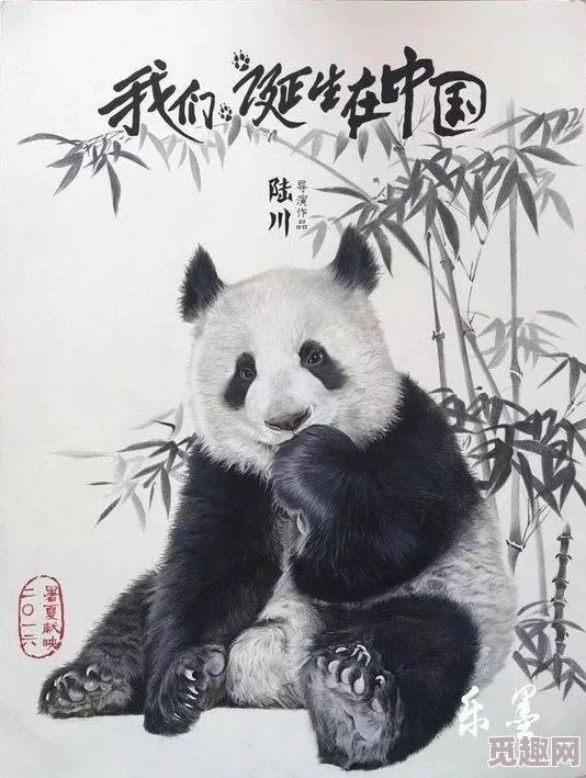 四川bbb搡bbb爽爽爽电影：一部展现四川地方文化与现代娱乐结合的奇特影片，引发观众热议与共鸣