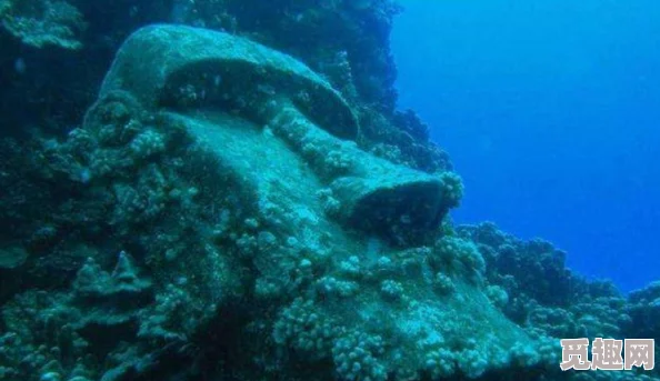 日本科学家惊爆发现：神秘深海生物或将改变人类对海洋的认知，影响生态系统未来发展！