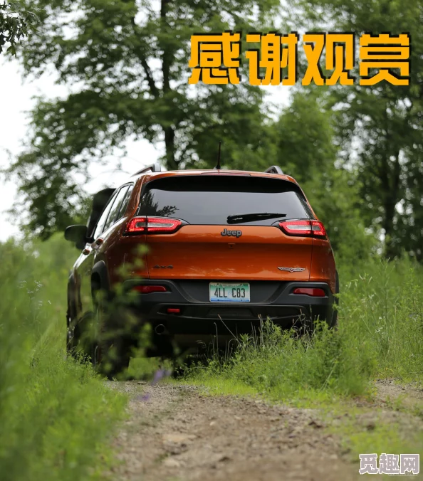 桃红色jeep界人口的功能介绍：从外观设计到越野性能的全面解析与用户体验分享