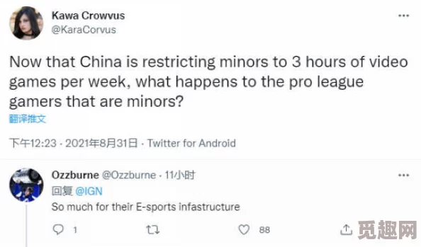 震惊！欧美日韩一区二区中文字幕视频竟然曝光了不为人知的秘密，网友们纷纷表示难以置信！