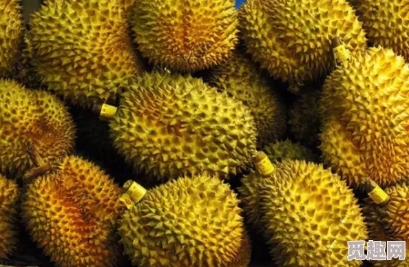 榴莲视频下载：震惊！全球用户上传数量激增，内容惊爆眼球引发热议！