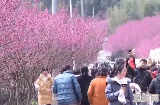 震惊！“国色天香桃花朵朵开万事皆胜意”，今年桃花盛开引发全国旅游热潮，游客人数创历史新高！