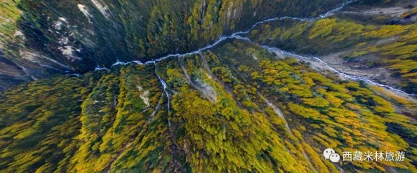 英雄联盟手游冰雪宝库活动全解析：内容详情与精彩道具介绍