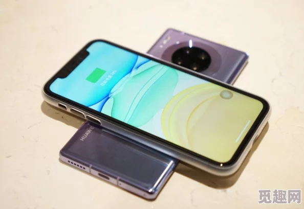 亚洲无mate20pro：解析其在市场中的竞争优势与用户需求的变化趋势
