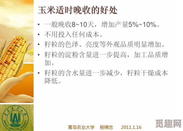 拔萝卜又叫降黄9：探讨其在传统医学中的应用及现代研究进展与疗效分析