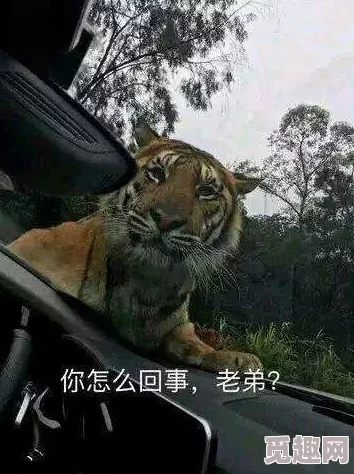 四虎国产精品视频免费看，震惊！网友曝出隐藏在视频背后的惊人真相，引发全网热议！