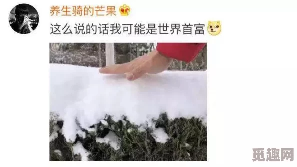 沈九哭喊着让洛冰河退出去，震惊全场的内幕曝光，引发网友热议，引起广泛关注与讨论！