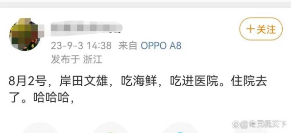 17草吃瓜：最新进展揭示事件背后的真相与各方反应，网友热议不断引发广泛关注